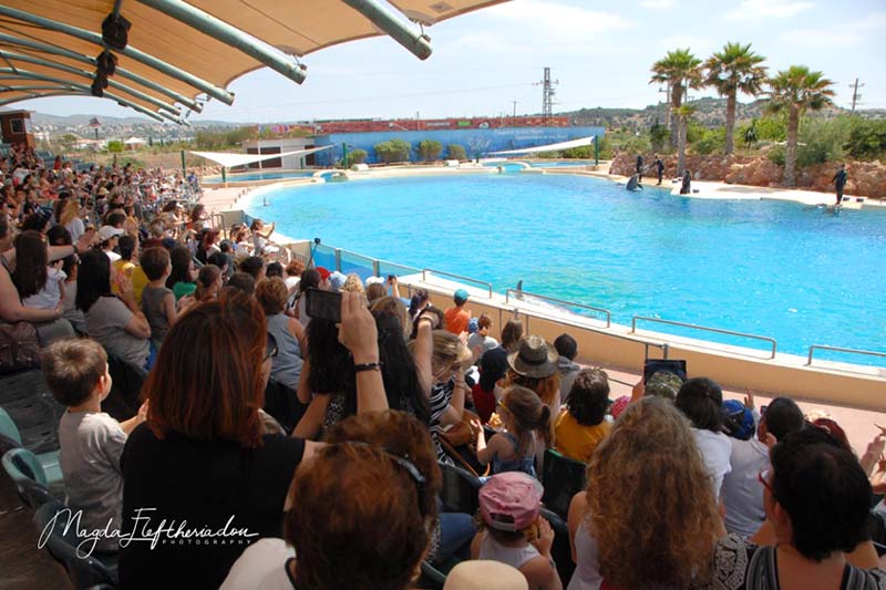 Με μεγάλη επιτυχία πραγματοποιήθηκε η ετήσια επίσκεψη των Βρεφονηπιακών Σταθμών του Δήμου Λαυρεωτικής στο Αττικό Ζωολογικό Πάρκο